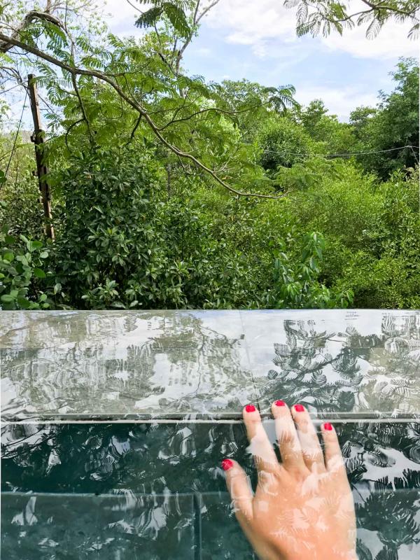 Reflet Mangroves sur la piscine © Houda El Moumouhi