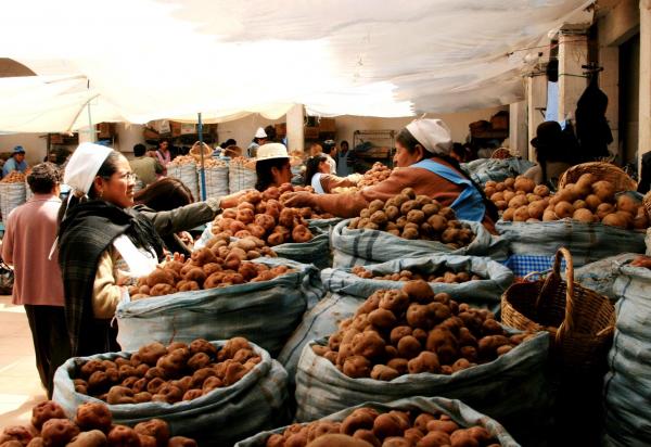 Mercado de Sucre © Carlos Adampol Galindo