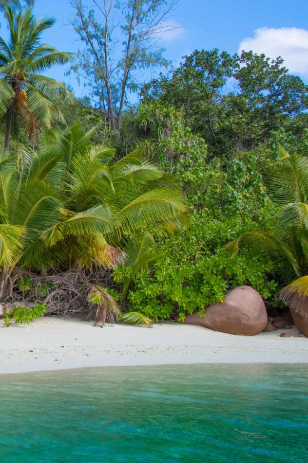 Croisière aux Seychelles © Catlante