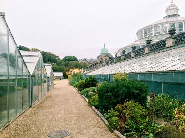 Même en hiver, parcourir les allées paisibles du jardin botanique est un immanquable. © Pierre Gunther