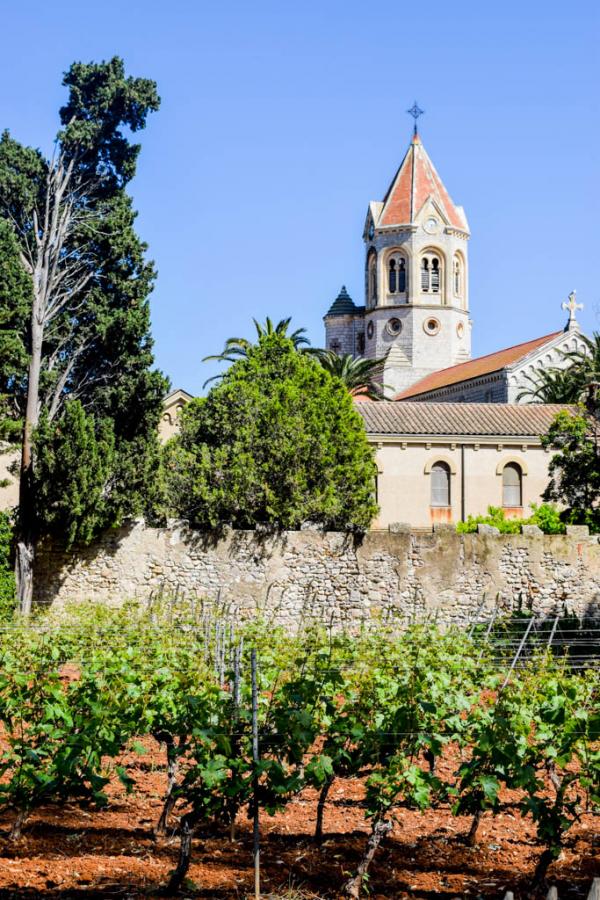 L'Abbaye de Lérins et les vignes de l'Île Saint-Honorat © Yonder.fr