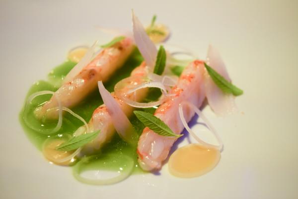 Langoustines (Bolenius) | © Yonder.fr