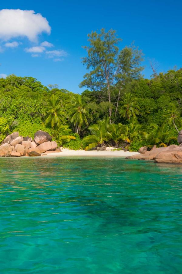 Croisière aux Seychelles © Catlante