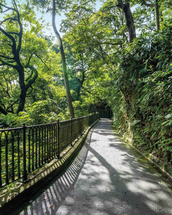 Lugard Road, un lieu de promenade incontournable sur les hauteurs d'Old Town Central © HKTB