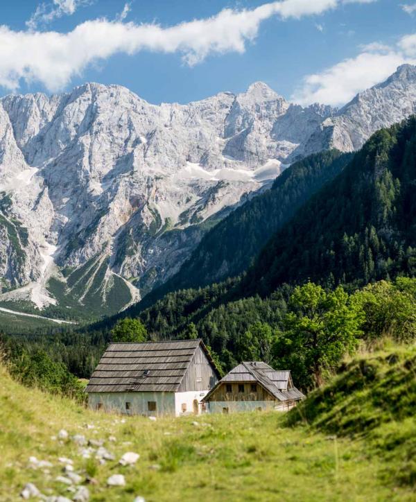 La magnifique nature slovène près de Vila Planinka © Suzan Gabrijan