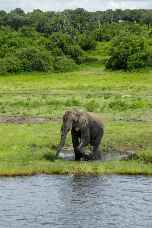 Safari en Namibie © PG