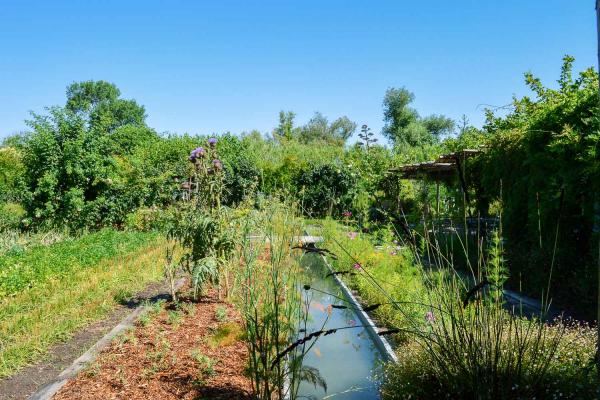 Le jardin aux 200 espèces d’herbes aromatiques, légumes et fruits © Pierre Gunther