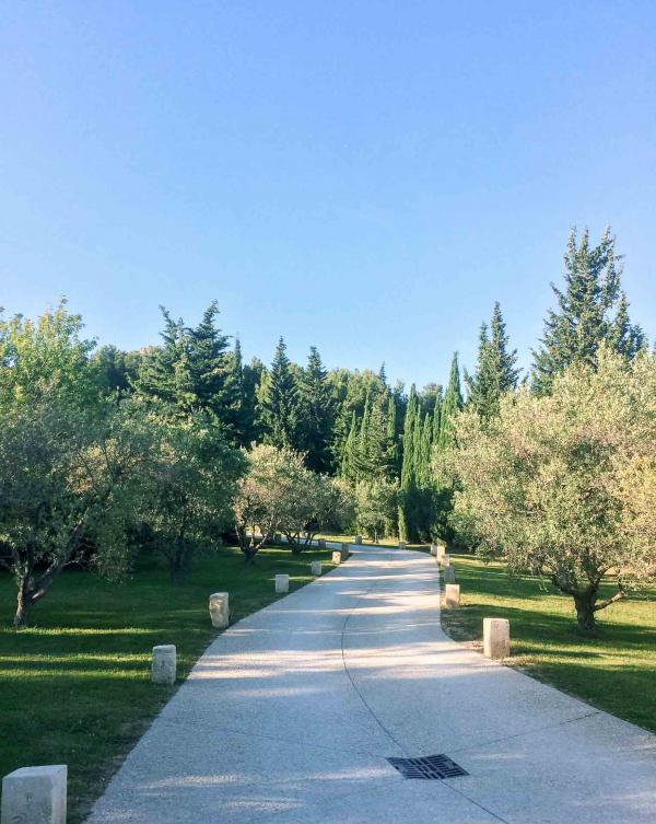 L’entrée du domaine serpente entre les arbres © Pierre Gunther