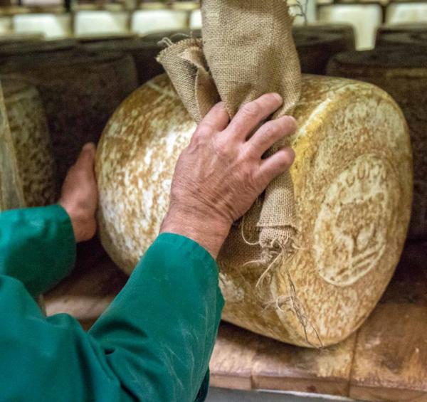 Affinage Fromage Laguiole AOP © François Lemancel