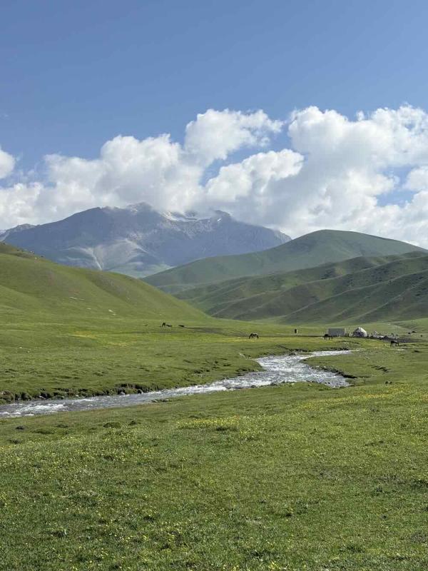 Au Kirghizistan, les chevaux paissent en liberté sur les alpages © DR Au Kirghizistan, les chevaux paissent en liberté sur les alpages © DR