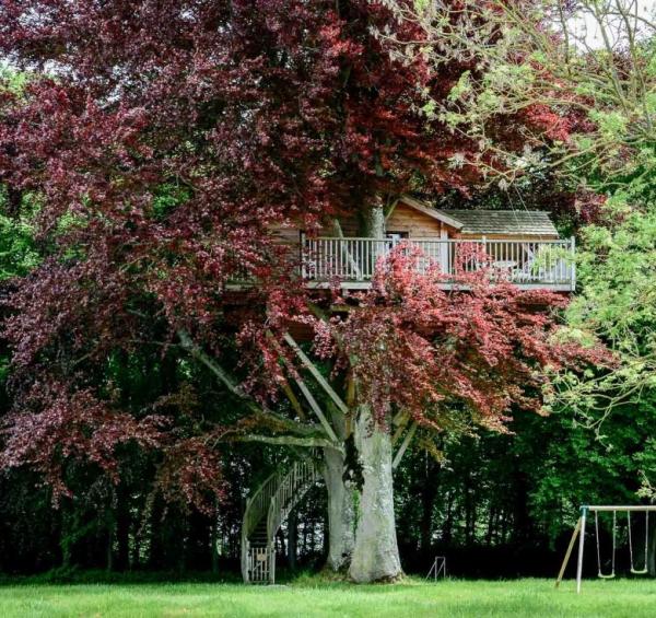 Château d'Audrieu – La suite "Cabane" perchée dans un arbre © EL | YONDER.fr