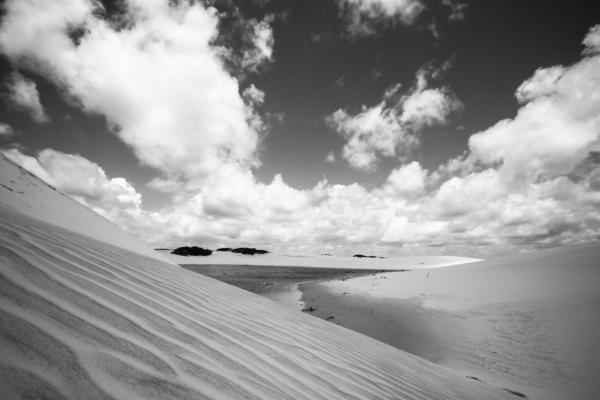 A flanc de dune | © Cédric Aubert