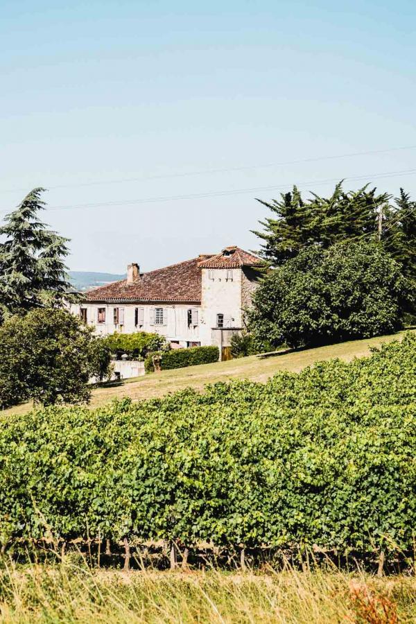 Domaine de la Higuière © L'instant C - OT Grand Auch Cœur de Gascogne