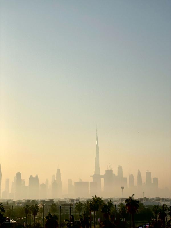 La skyline de Dubaï © EL|YONDER.fr