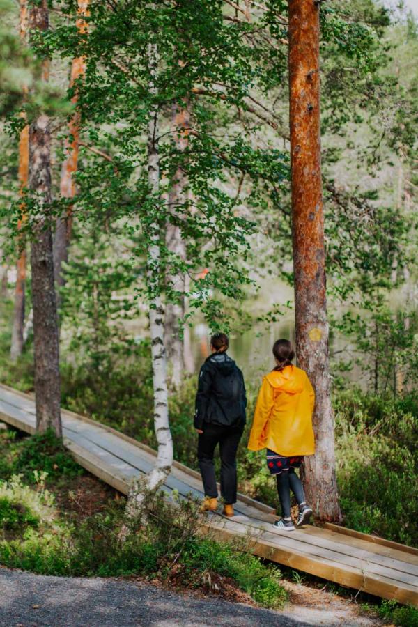 Parc national de Etelä-Konneveden © Julia Kivelä