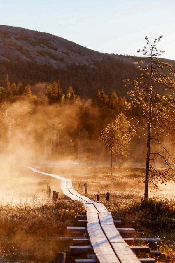 Dans les parcs, des sentiers surélevés pour protéger le sol © Visit Finland - Harri Tarvainen
