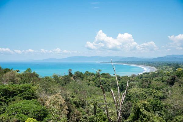 La vue imprenable sur l'océan Pacifique au Tiskita Jungle Lodge © DR