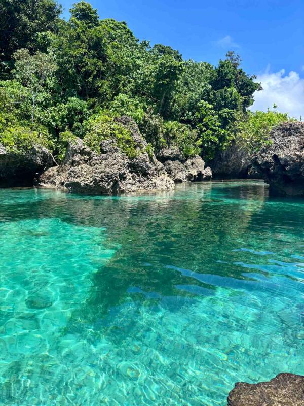 Mangrove qui entoure l'hôtel © PG