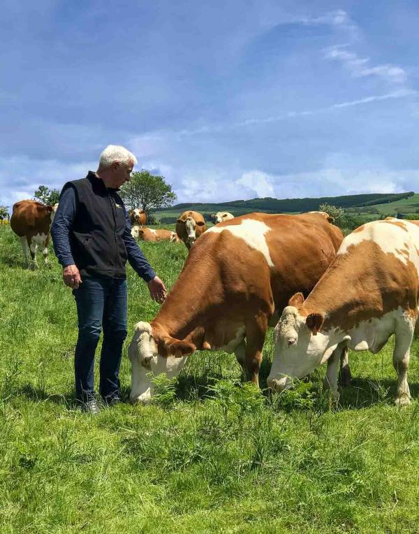 Jeune Montagne Gilbert Cestrières Vaches Simmental Fromage Laguiole AOP © Laure Anglade