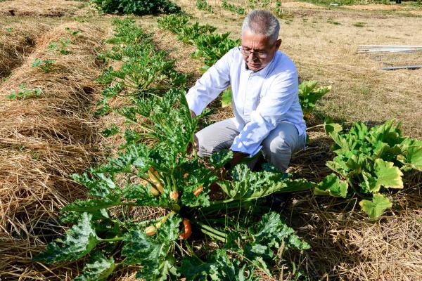 Le chef Jean-Michel Lorain dans son potager « plus que bio » de 3,000 m2 à Joigny © YONDER.fr