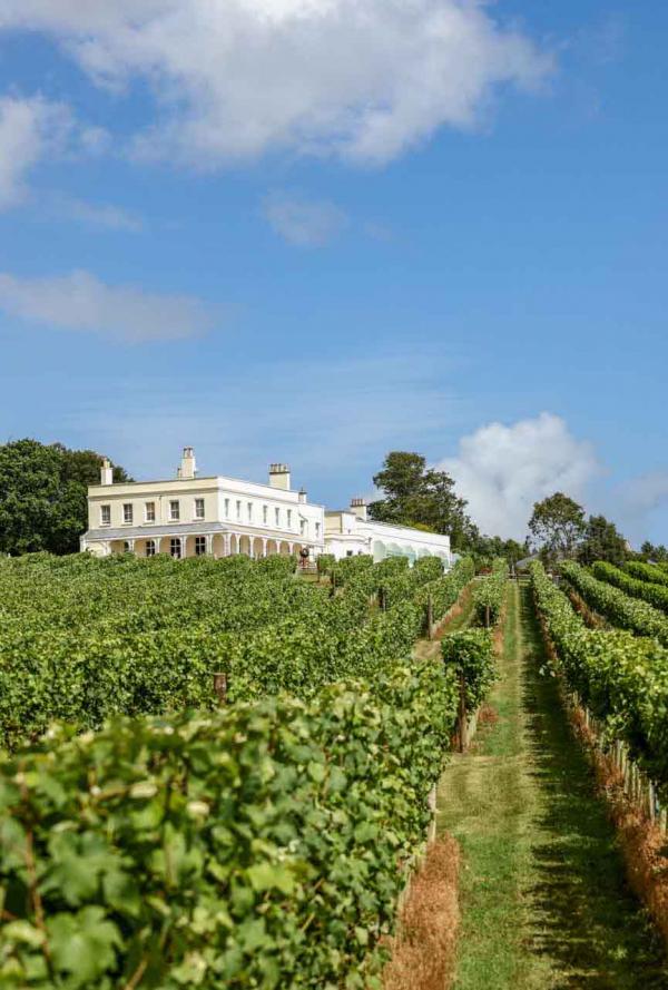 Lympstone Manor Hotel – Vignes © DR