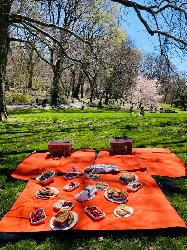 Pique-nique à Central Park © P.Gautrand|YONDER.fr 