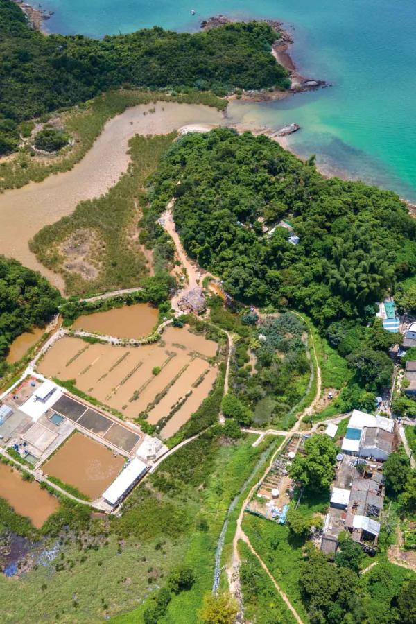 Les marais salants sur l'île de Yim Tin Tsai © HKTB