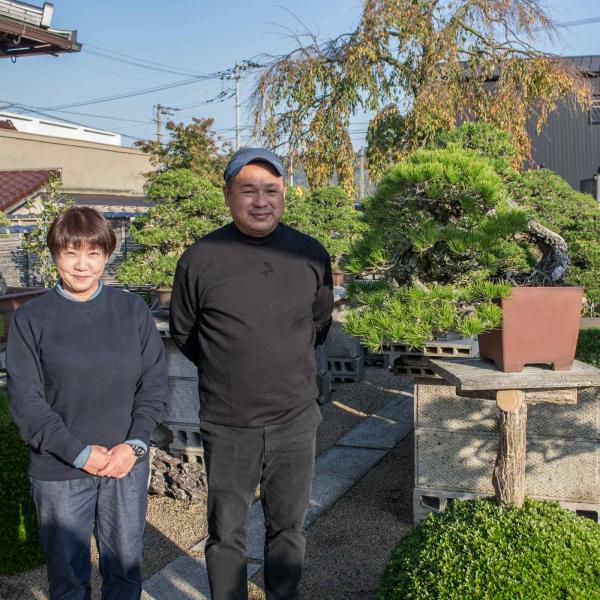 La famille Nakanishi cultive les bonsaïs © DR