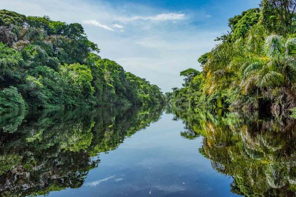 Parc national de Tortuguero - Les canaux © Kenneth Vargas