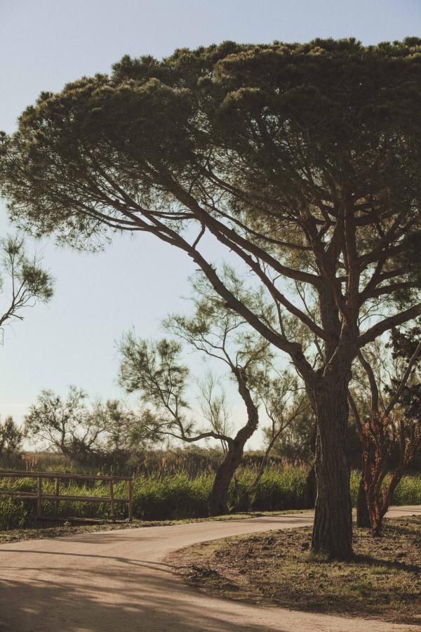 Les Bains Gardians, cabanes de charme et Camargue slow © Matthieu Salvaing Les Bains Gardians, cabanes de charme et Camargue slow © Matthieu Salvaing