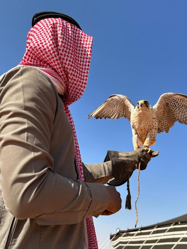 AlUla © Allain Maurice