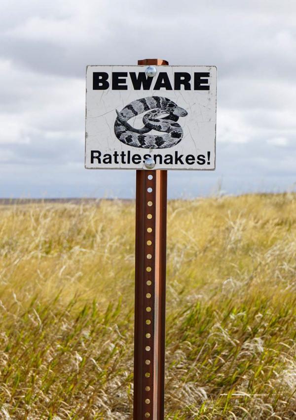 Attention aux serpents à sonnettes, ils sont également omniprésents dans le parc © YONDER.fr