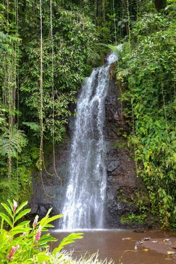 Cascade à Tahiti © Tahiti Tourisme
