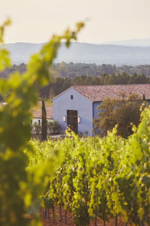 Ultimate Provence | Chai © Francis Amiand