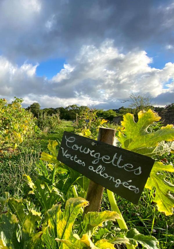 Château de l'Épinay – Potager © EL | YONDER.fr