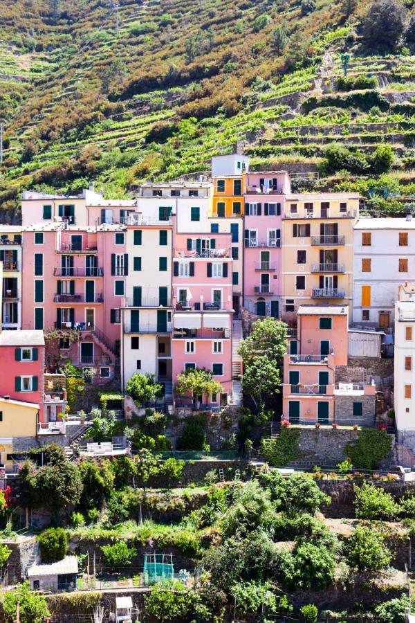 Manarola, un village à flanc de collines, entre vignes et mer © YONDER.fr