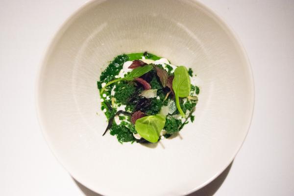 L'une de ses créations. Un dessert à base de cédrat, épinard, matcha et chocolat blanc. Une merveille de créativité © Yonder.fr