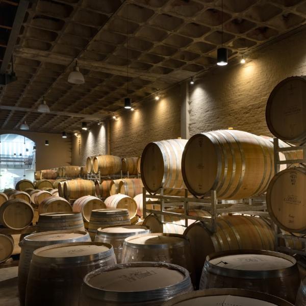 @grootconstantia