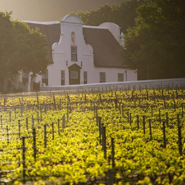 @grootconstantia