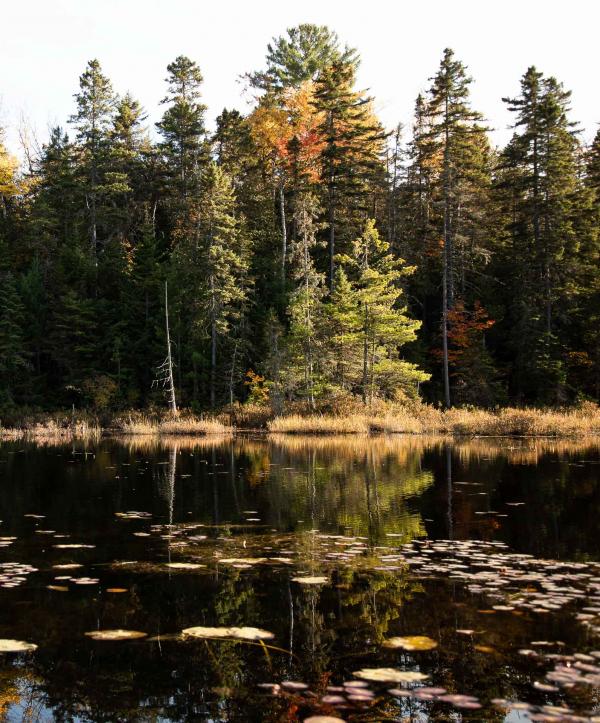 Québec — Lac © Caroline Mélia / YONDER.fr