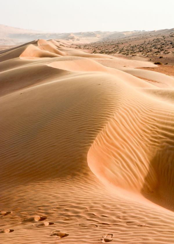 On a marché sur les dunes, à Oman. © Emmanuel Laveran. 