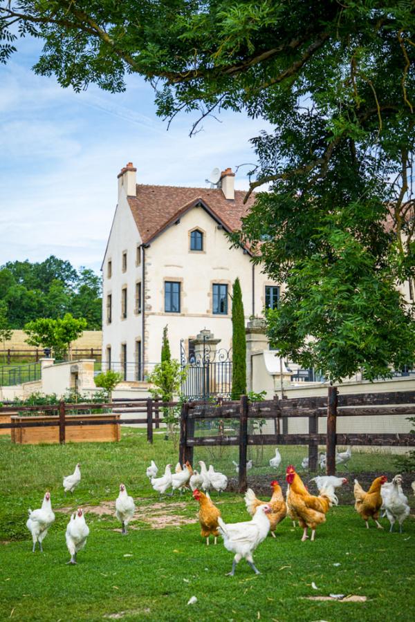 Poulailler © Domaine de Rymska