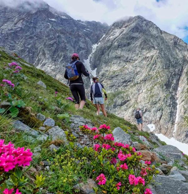 Si vous venez en juillet, vous aurez la chance de voir les rhododendrons en fleur © Boris Molinier