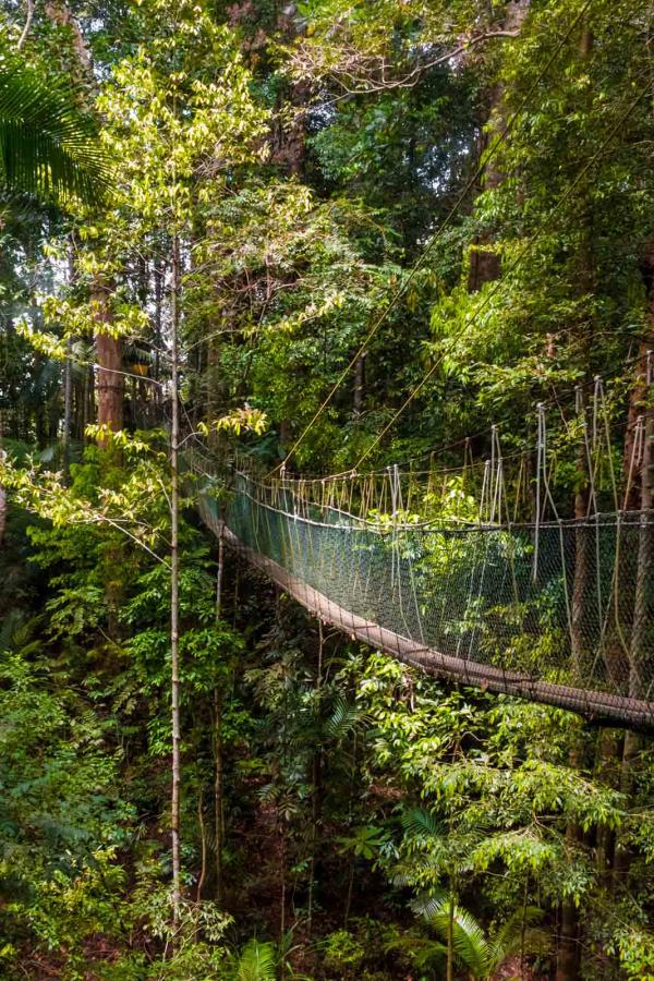 Tama Negara Canopy Walkway © AdobeStock - HAB Photography