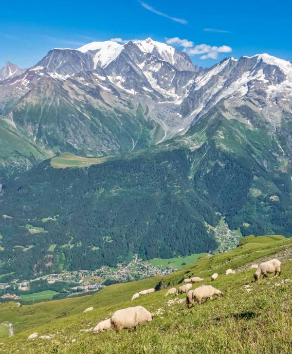 Derniers instants en montagne, dernières rencontres et voilà déjà le chemin du retour © Boris Molinier