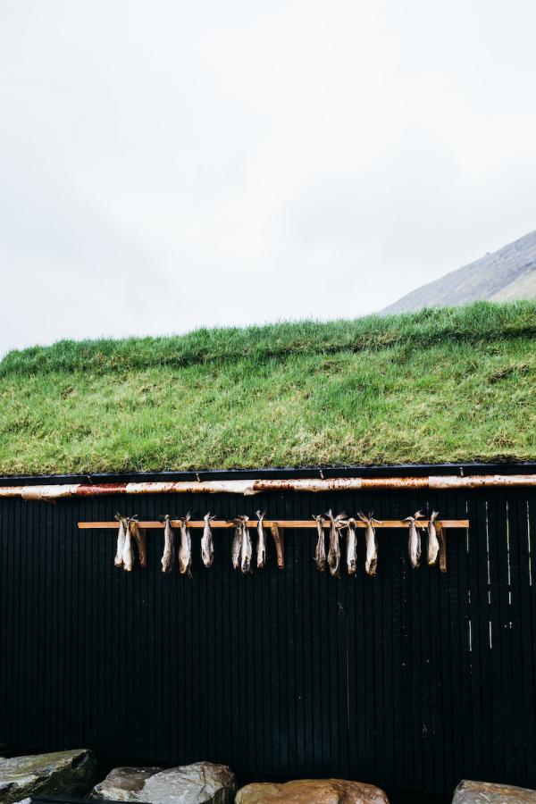 "Poissons" suspendus à l'"extérieur" d'un <i>hjallur</i>. © 