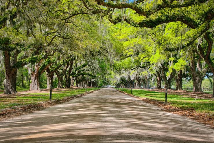 10 raisons de découvrir Charleston, Caroline du Sud - Les plantations