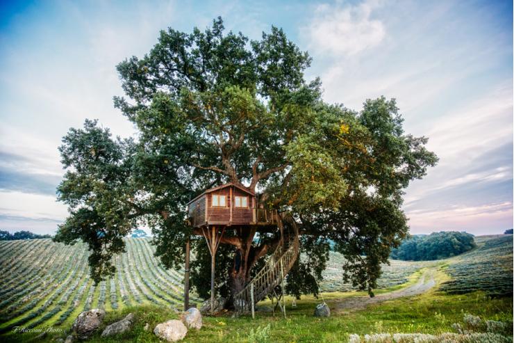 La Suite Bleue au milieu d’un champs de lavande © La Piantata