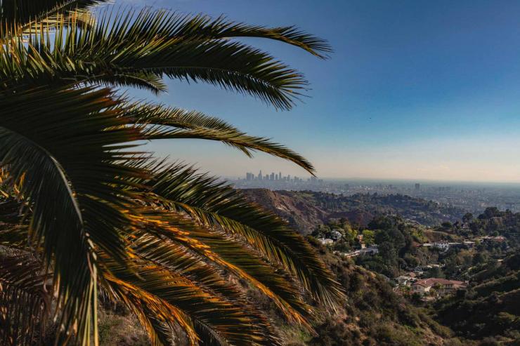 Los Angeles © Daniel Schludi