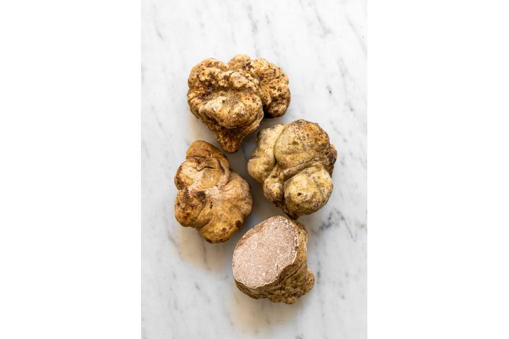 L'hôtel Castille à Paris met à l'honneur la truffe blanche d'Italie